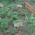 На Златару ниче пет нових мини-ботаничких башта