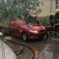 Drvo ubilo ženu u okolini Sombora: Zbog nevremena palo na njen auto! Oglasio se i ministar Ivica Dačić