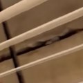 Pukotine u zidovima u Naučno-tehnološkom parku u Novom Sadu: Obična dilatacija ili problem? (video)