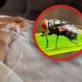 Muškarac umro nakon ujeda muve: Lekari ništa nisu mogli da urade: "Nisam mogla da zamislim da će jedan ubod dovesti do ovoga"…