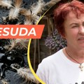 Sud presudio: Biće jahanja, katrana i perja (VIDEO)