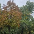 Nakon hladnog jutra, tokom dana pretežno sunčano sa slabim razvojem oblačnosti