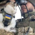Mačke postale novo ratno sredstvo Ukrajine: Bore se protiv agresora, a na ovaj način pomažu vojnicima (video)
