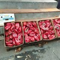 Novosadske pijace ovih dana pune sočnih proizvoda! Skoro na svakoj tezgi prodaju "ajvarušu", a evo i po kojoj ceni! (foto)