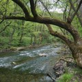 Ekološko društvo – Prirodnim merama za ekološki Gradac