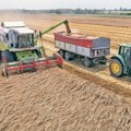 Rusija na pragu rekordnog prinosa žitarica