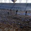 Menja se parket u prokupačkoj sportskoj hali, vrednost radova 15 miliona dinara