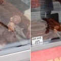 "Džeri u akciji"! Snimak iz prodavnice u Beogradu zgrozio mnoge: Miš jede kobasicu pred kupcima i prodavcima