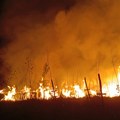 Сви пожари на територији Лесковца угашени