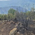 N1 i danas na Stolovima: Kiša pomogla vatrogascima, ali ostaju na vrhu da dežuraju