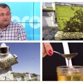 Kakav med jedemo? Živadinović upozorio da se na tržištu prodaje med koji „nije video pčelu“