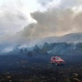 Vatrogasci i dalje dežuraju Lokalizovan požar na Žaračkoj planini, na Troglavu izgorelo 50 hektara šume