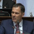 "Udarajte koliko god hoćete, ali moram da se javim zbog moje dece" Siniša Mali usred Skupštine na meti prljave kampanje…