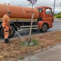 Održavanje sadnica na javnim površinama