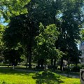 Jutarnji mraz i topao dan - temperatura do 26 stepeni