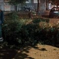 (Foto) Nevreme u Smederevu i Smederevskoj Palanci: oborena stabla, oštećeni automobili, problemi sa strujom i vodom