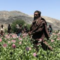 Avganistan: Iza kulisa talibanskog rata protiv droge – uništavanje polja maka