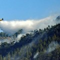 Gran Kanarija: šumski požar stavljen pod kontrolu