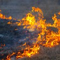 Požar na otvorenom - vatra zahvatila nisko rastinje u selu Gostilje