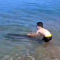 Redak prizor na plaži u Grčkoj! Delfin zalutao u plićak, a onda je jedan dečak pokušao da se igra sa njim: Zbog ovog…