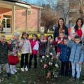 Sjajna akcija u čačanskim vrtićima: Mališani dobilli prirodne jelke koje su posadili i okitili u dvorištu