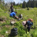 Građani Nove Varoši očistili Zlatar – viđene zaštićene vrste usred deponije