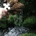 Meštani duboko veruju u "lekovita svojstva" ovog izvora Velika svetinja skrivena je u gustoj šumi u Srbiji (Foto)