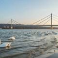 Novi Sad: Spasioci Gradskog zelenila spasili muškarca koji je pao u Dunav sa Mosta slobode