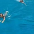Užas u grčkom moru! Devojke plivale, pa ugledale neočekivano društvo: "Bila je slatka iz daljine" (video)
