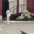 Staniji neće biti dobro: Dobila 101 ružu od tajnog obožavaoca, Janjuš joj upropastio iznenađenje