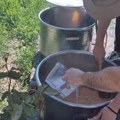 „Solidarni kolektiv“ podelio 6.000 obroka u Nišu, prave žurku da prikupe novac za dalji rad
