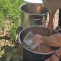 „Solidarni kolektiv“ podelio 6.000 obroka u Nišu, prave žurku da prikupe novac za dalji rad