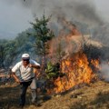 Požari aktivni širom Albanije: Vatra bukti na sedam lokacija, vetar je raznosi kroz planine