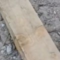 ''Ovako nešto do sada nijesmo videli'' Kopali temelj za kuću, pa iskopali misteriozno stvorenje, meštani u panici! (video)