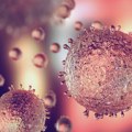 Holandski naučnici istražuju vezu između virusa i ponovne pojave raka