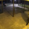 Četvorostruki ubica snimljen pre stravičnog zločina! Naoružan puškom vrebao po naselju (video)