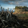 Klimatske promene tresu Srbiju - Ranjiva zemlja