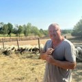 Letnja žega i stada pod tropskim suncem: Kako Glođevići iz Mršinaca čuvaju ovce i koze u vreme suše