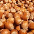 Unosan biznis koji donosi milione, a može da traje 50 godina