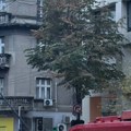Trole ne idu u makedonskoj: Bandera pala i blokirala saobraćaj (foto, video)