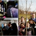 Inđija dobija novih 400 stabala jasena, Pavkov: Novi kotao u školi i sjajna akcija sadnje doneće bolji kvalitet vazduha