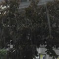 Službe i javno komunalna preduzeća u stanju pripravnosti