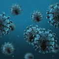 Epidemiolog iz Subotice: Hantavirus sa kruzera nije razlog za paniku niti pretnja pandemijom