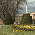 Izložba posvećena Niku Kejvu i Mobiju otvorena na Kalemegdanu
