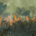 Dva velika šumska požara, severno od Marseja, gasi 200 vatrogasaca