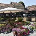 Manifestacija "Bum market" ove nedelje na pijaci "Zemun": Evo šta ćete sve moći da kupite