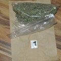 Niška policija pronašla marihuanu i plantažu kanabisa u okolini Prokuplja