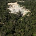 Brazilski predsjednik objavio plan za zaustavljanje sječe šuma u Amazonu