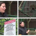 Kako životinjama prija ova promena temperature proverili smo u Zoološkom vrtu u Boru