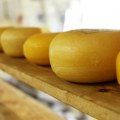 Potera za sirom: Najluđa tradicija na svetu